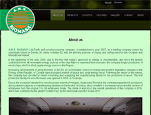 Tablet Screenshot of ams-biomasa.com